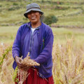 The Role of Native Americans in Agriculture and Farming Practices in Indian Land, South Carolina